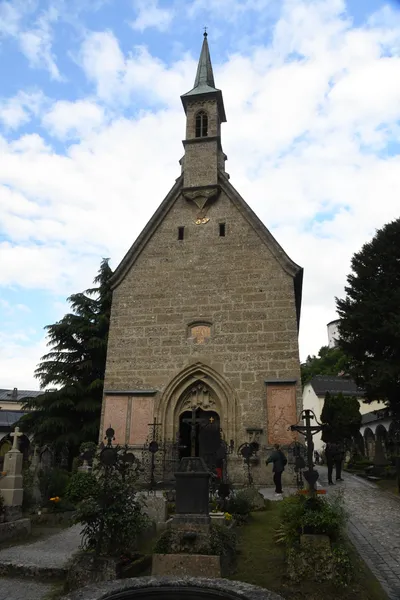 DSC_6350 (Large).JPG